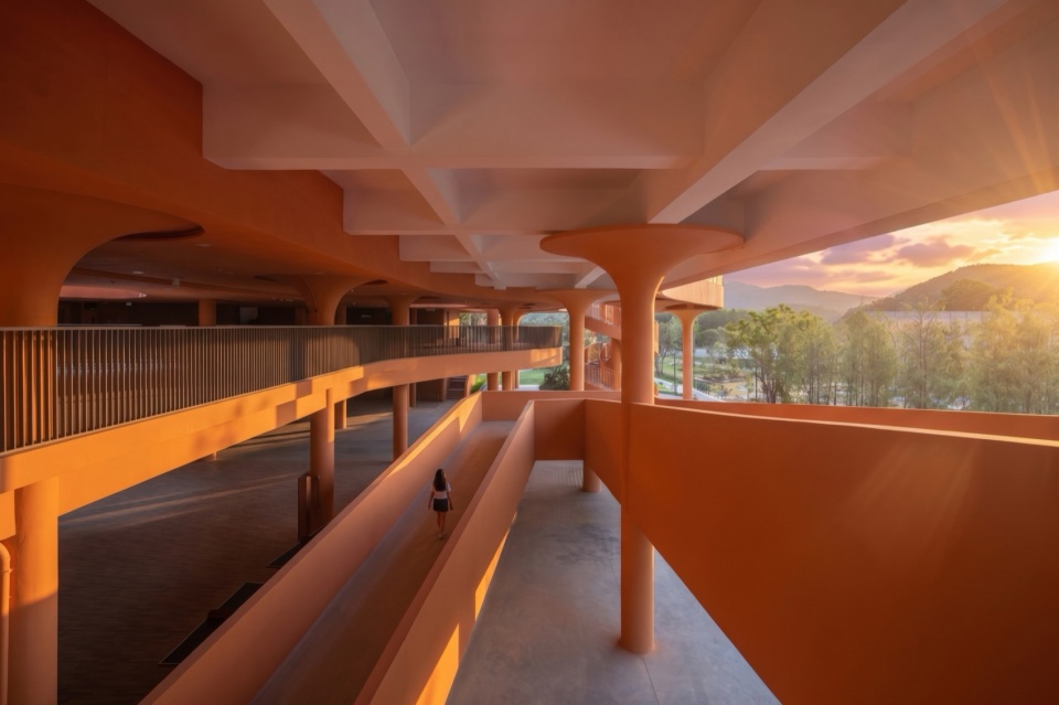 A Floating School Amidst Forests
