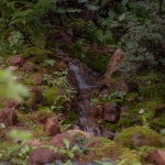 木夕大里伙山花园，云南大理 / 致舍景观