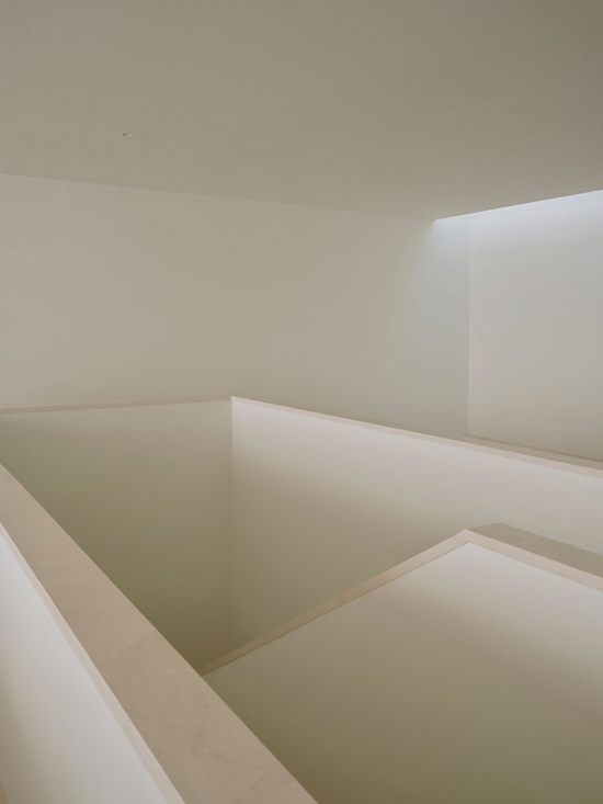 nested house by iterare arquitectos