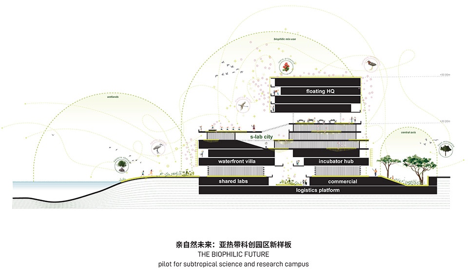 biophilic practice at hetao shenzhen by remix lcc