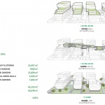 Biophilic Practice at the Hetao Shenzhen-Hong Kong Sci-Tech Innovation Cooperation Zone by