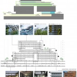 Biophilic Practice at the Hetao Shenzhen-Hong Kong Sci-Tech Innovation Cooperation Zone by