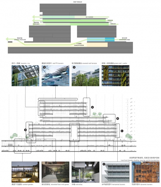 biophilic practice at hetao shenzhen by remix lcc