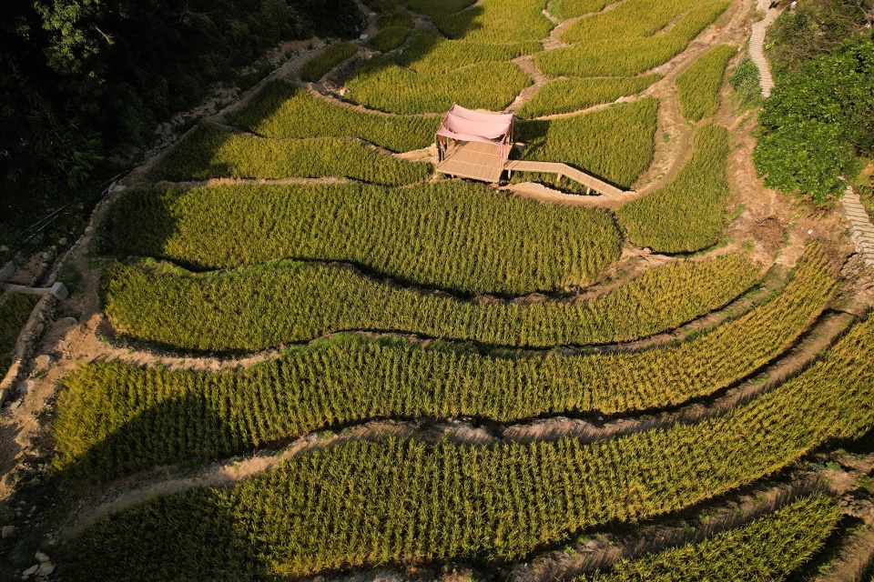 guangzhou ji yun yao resort landscape design by line plus