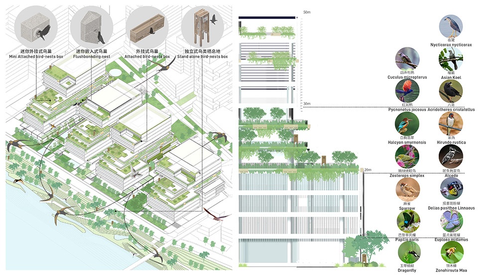 biophilic practice at hetao shenzhen by remix lcc