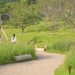 山林野趣 · 雾灵山上的自然原木儿童营地，河北承德 / 喜随设计
