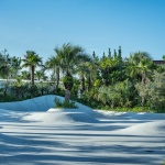 NOT A HOTEL AOSHIMA 2.0酒店，日本宫崎 / GENERAL DESIGN（Shin Ohori）