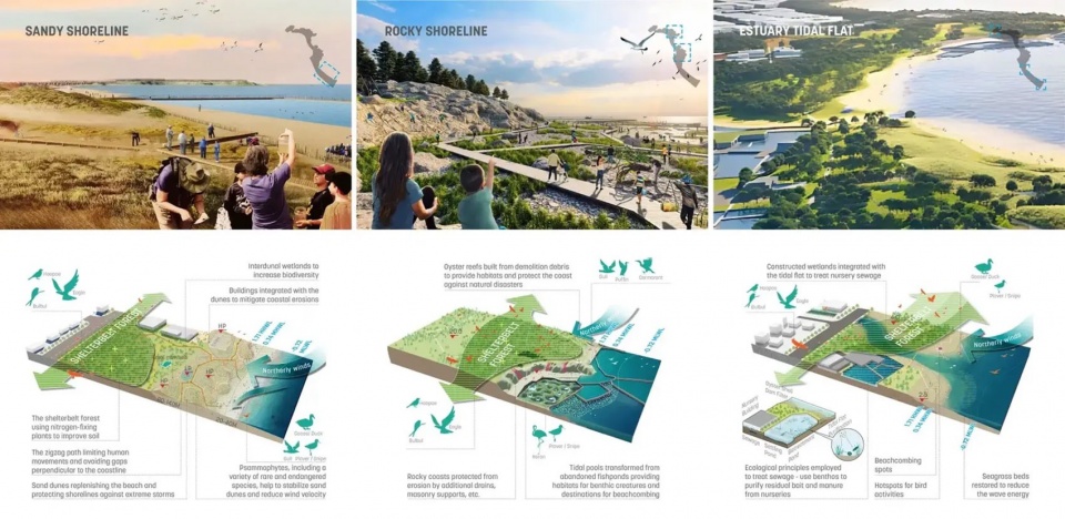 Where Industry Meets the Tide A New Horizon for Huangshi Bay