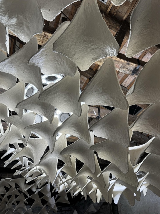 flight into shadow by deggendorf institute of technology