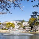 名古屋IG体育场，日本 / 隈研吾建筑都市设计事务所