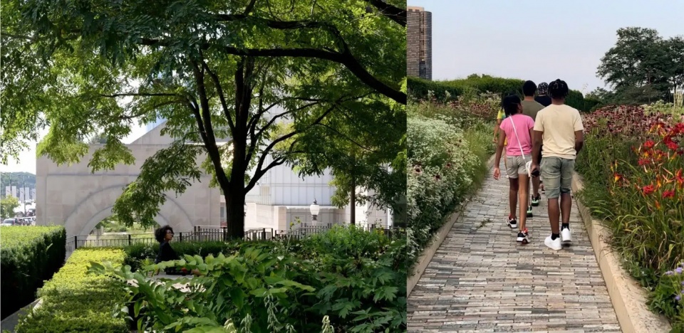 Lurie Garden at Millennium Park