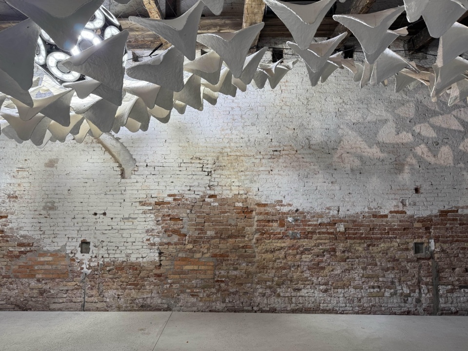 flight into shadow by deggendorf institute of technology