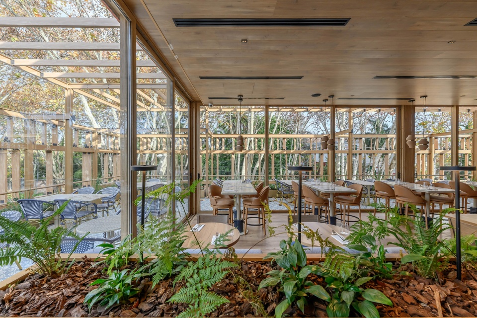 haydee by estudio montevideo