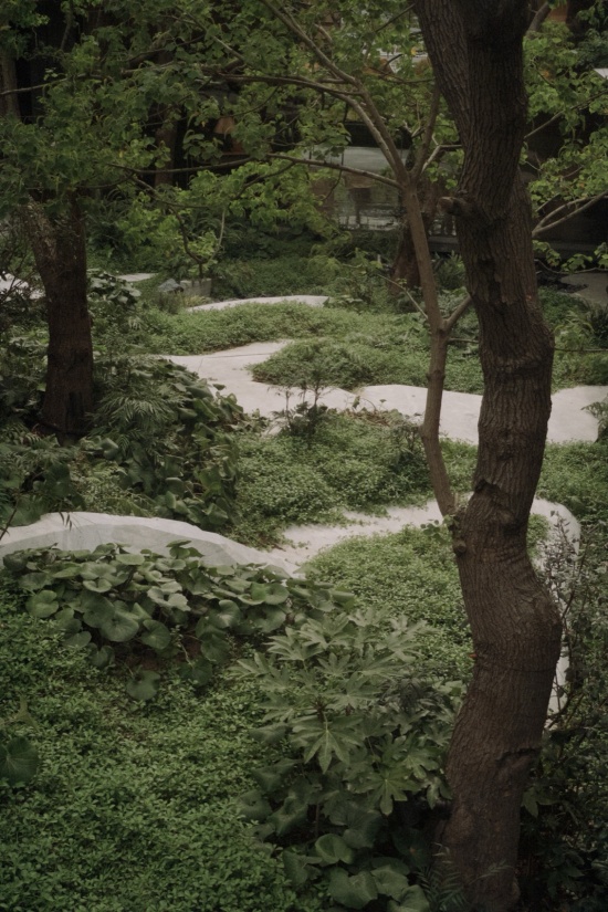 vanke xingyingting lake by turninglab