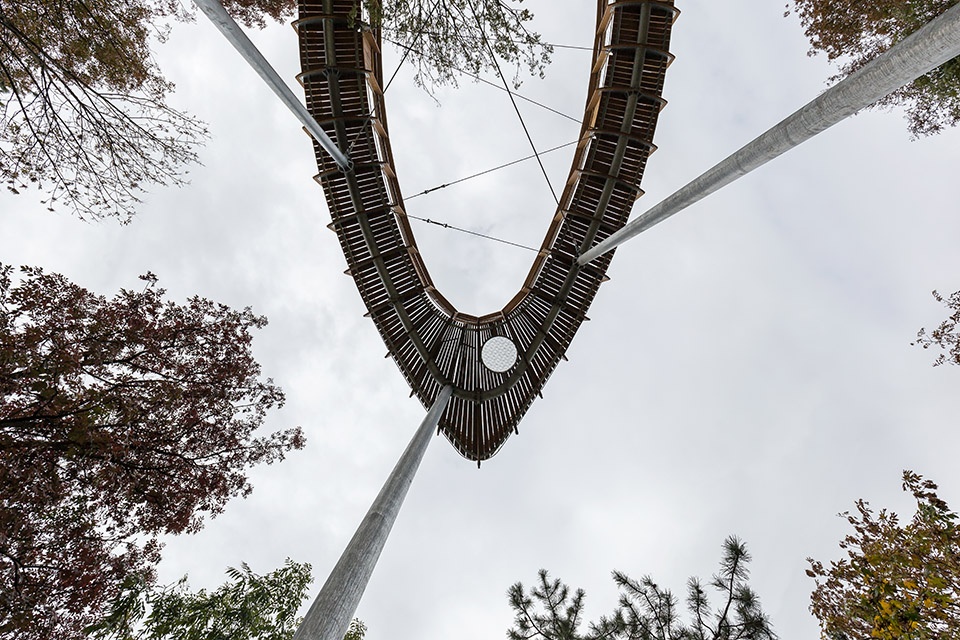 foliage educational lookout and trail by okka studio