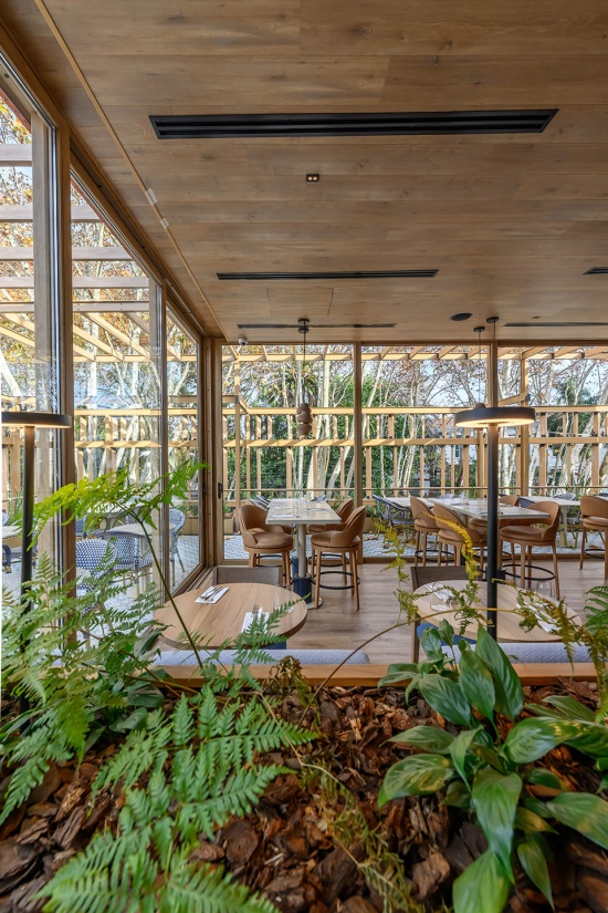 haydee by estudio montevideo
