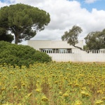 J住宅，西班牙 / SV60 ARQUITECTOS