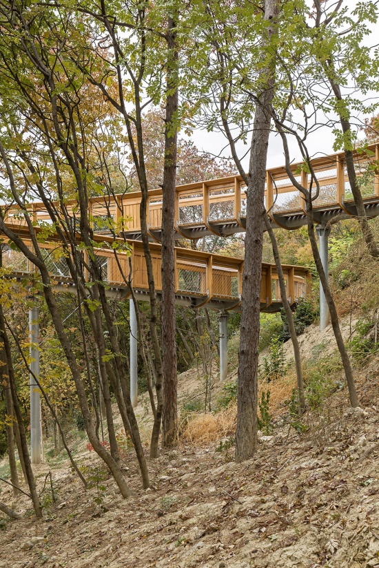 foliage educational lookout and trail by okka studio