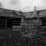 The Old Byre by Gianni Botsford Architects