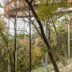 Pannonhalma森林步道，匈牙利 / Okka Studio