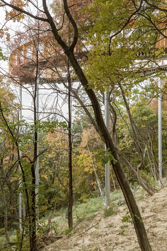 foliage educational lookout and trail by okka studio