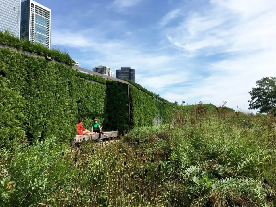 Lurie Garden at Millennium Park