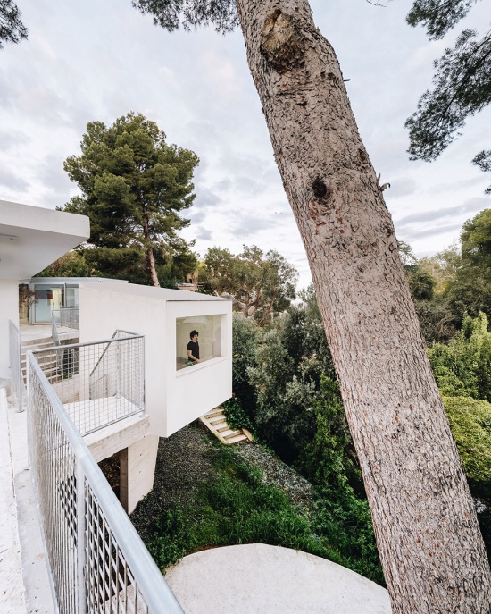 casa pb16 by especie arquitectura
