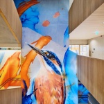 Brouch小学，卢森堡 / JSWD