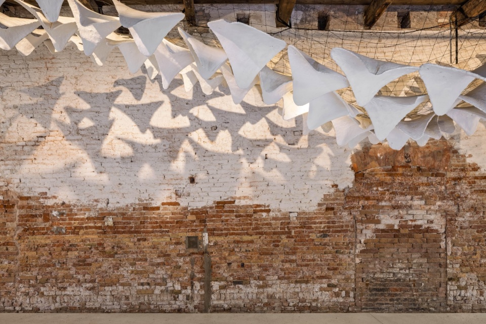 flight into shadow by deggendorf institute of technology