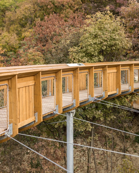 foliage educational lookout and trail by okka studio
