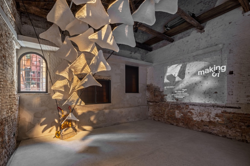 flight into shadow by deggendorf institute of technology