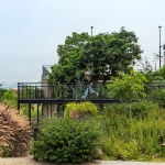 Park in the Prado Neighborhood by Arch. Edgar Mazo