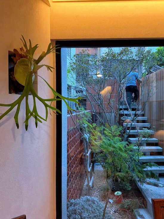 The Long Necked House Dream Home Makeover 2026 Dragon TV by Not A Studio