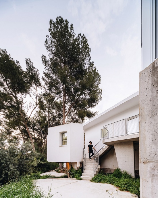 casa pb16 by especie arquitectura