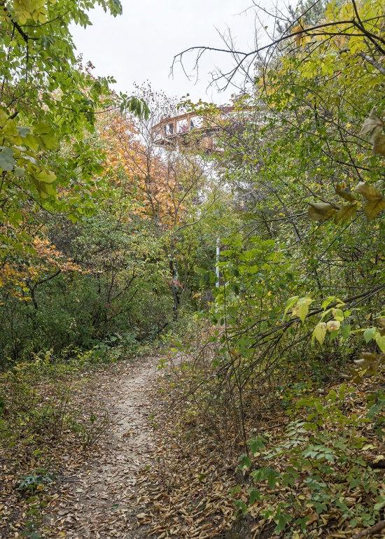 foliage educational lookout and trail by okka studio