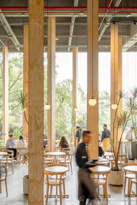 31 columns by studio cadena