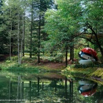 Poké Ball-Themed Hotel by NOT A HOTEL
