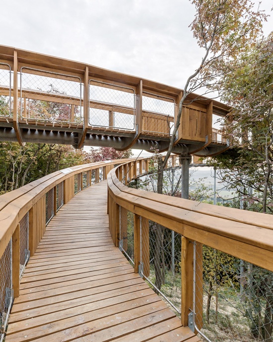 foliage educational lookout and trail by okka studio
