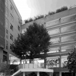 Spatial Regeneration: Yucai No.2 Primary School Renovation by NODE Architecture & Urbanism