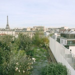 Lourmel学生公寓，巴黎 / MARS ARCHITECTES
