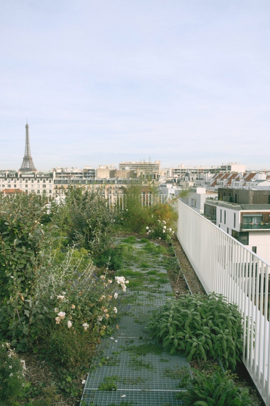 Lourmel Student Housing Mars architecte