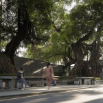 gooood archive: Urban Micro-regeneration（2022-2026）