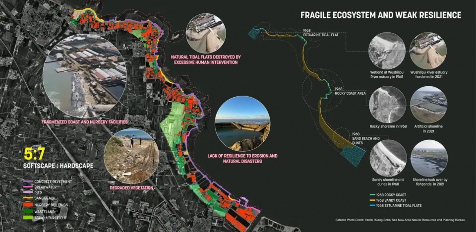 Where Industry Meets the Tide A New Horizon for Huangshi Bay
