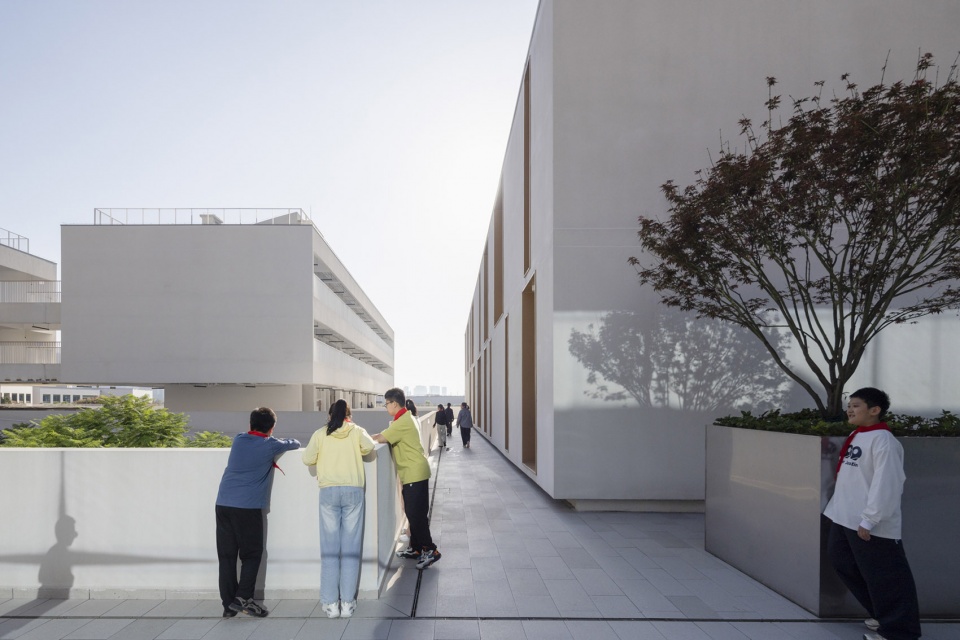 chengdu haiyang road middle school by changwu architects