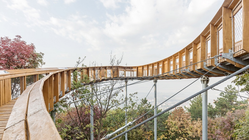 foliage educational lookout and trail by okka studio