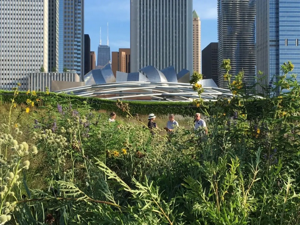 Lurie Garden at Millennium Park