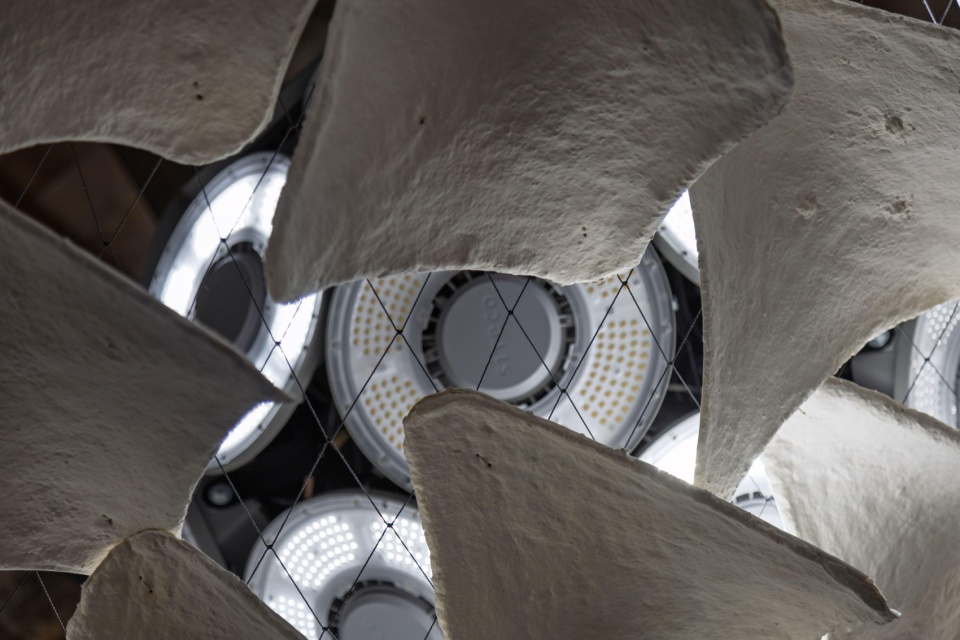 flight into shadow by deggendorf institute of technology