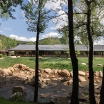 Aranya Wuling Mountain Shan Canteen by llLab.