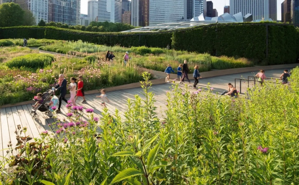 Lurie Garden at Millennium Park
