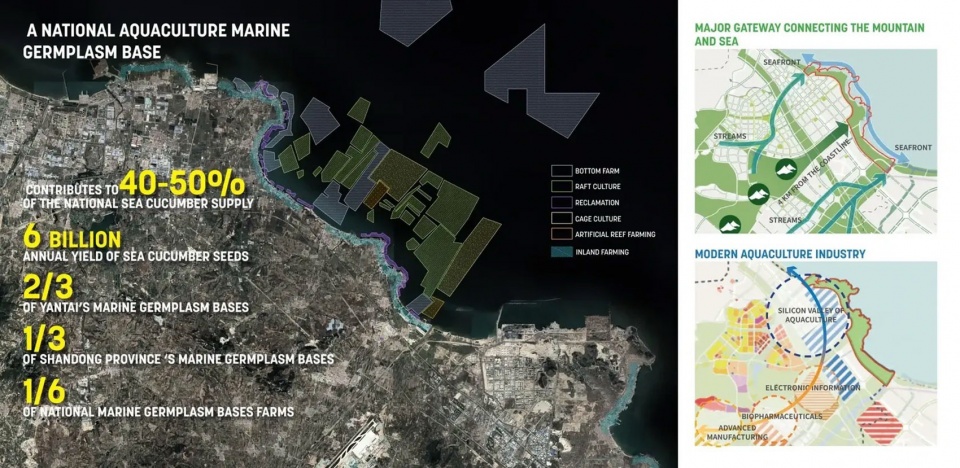 Where Industry Meets the Tide A New Horizon for Huangshi Bay